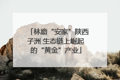 林麝“安家”陕西子洲 生态链上崛起的“黄金”产业
